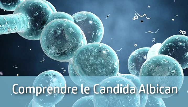 Article : Comprendre et soigner naturellement le Candida Albican