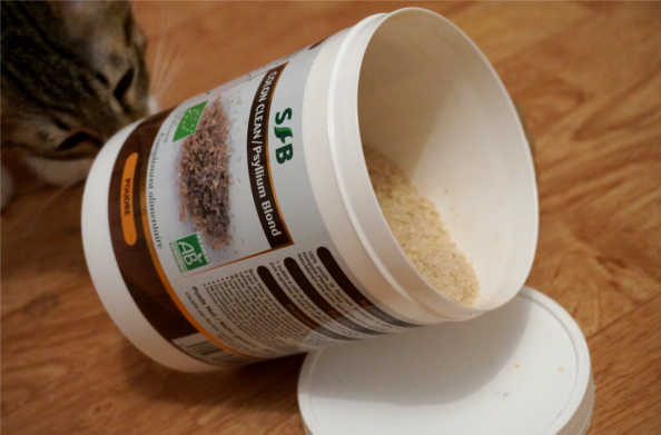Tout savoir sur les t&eacute;guments de psyllium blond