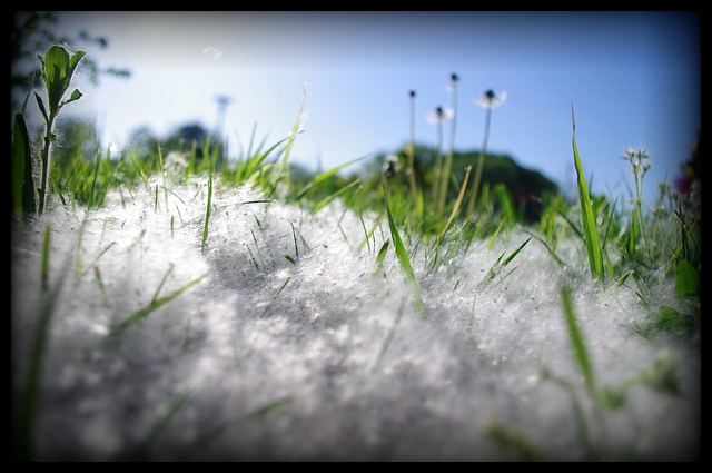 Les allergies et notre muqueuse intestinale